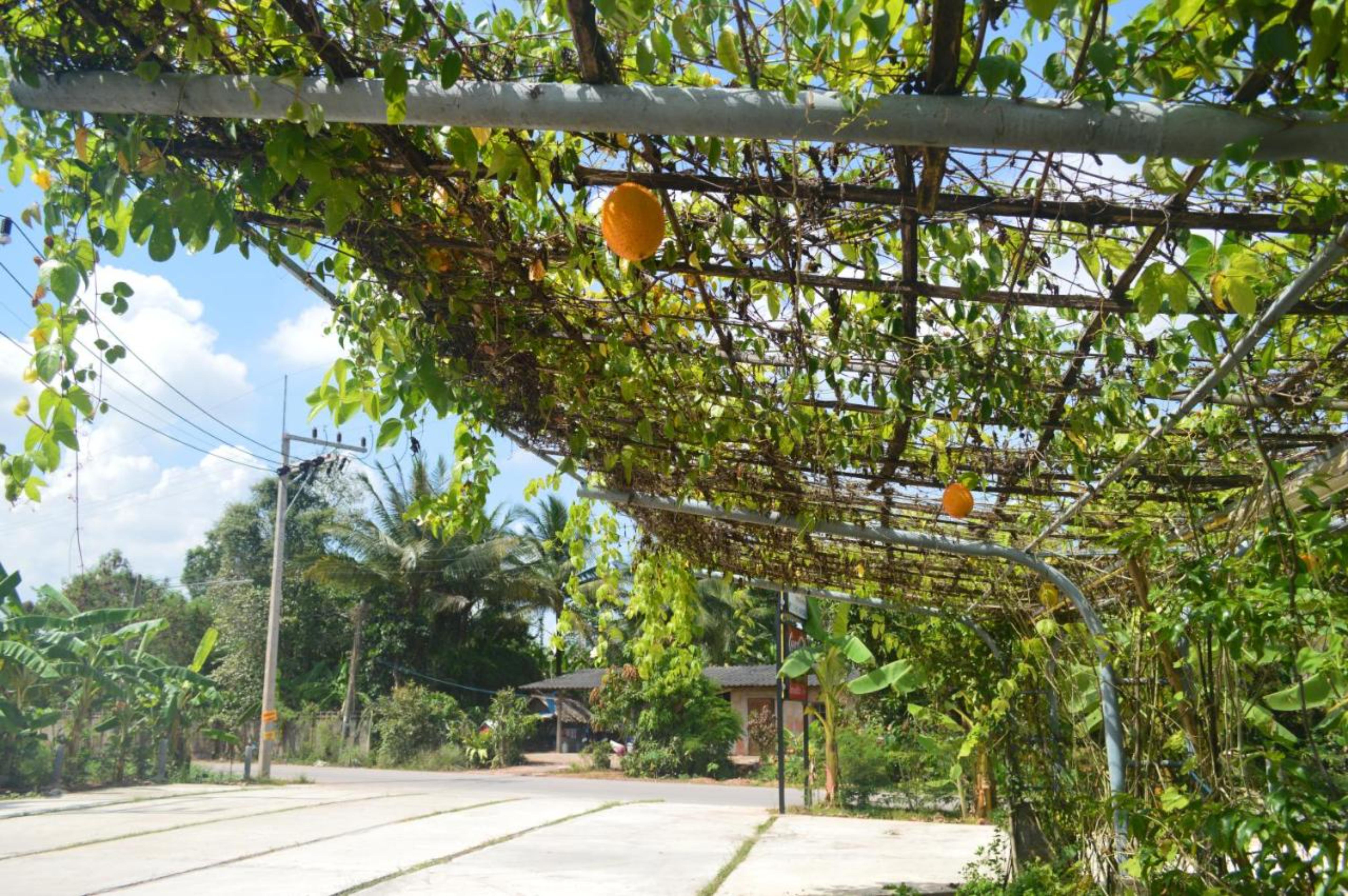 Be Fine Sabuy Hotel And Resort Surat Thani Bagian luar foto